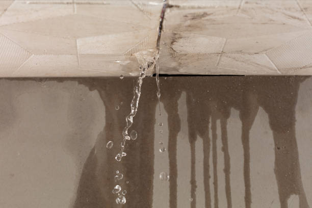 Professional Water Damage Inspection technician working in Concordia, NJ